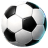 badge icon